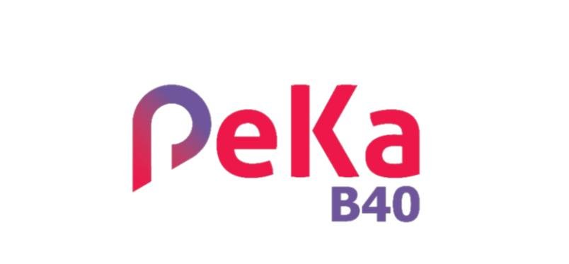 PeKa B40